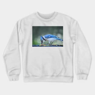 Bluejay Crewneck Sweatshirt